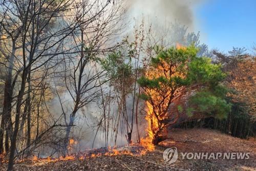 화재 가장 잦은 계절은 '봄'…5년간 5만5천건·연 660명 사상