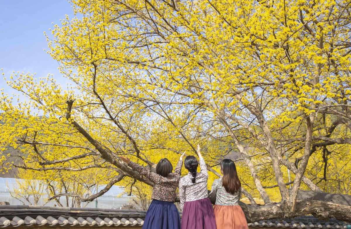 전남도, 축제장서 일회용품 사용 없앤다