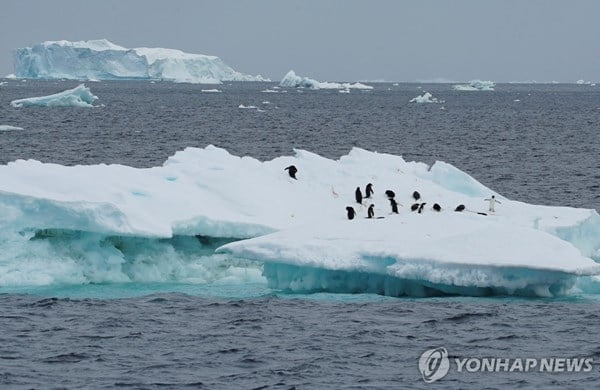 사라지는 남극 해빙…"3년 연속 역대 최저 수준"