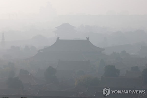 중국 학자 "대기질 개선 노하우 수출하자"…뭔 소리지?