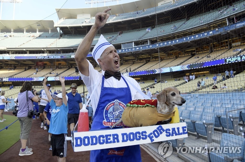 MLB 명물 '다저독', 고척돔서 맛본다