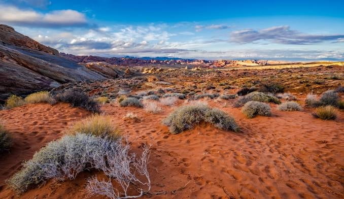 미국 캘리포니아주에 위치한 모하비 사막
