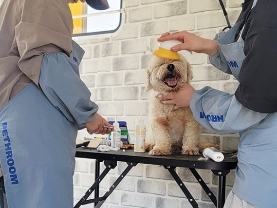 "유기동물 돕는 노란 트럭이 떴다"…유기동물 맞춤형 사회공헌 선보인 페스룸