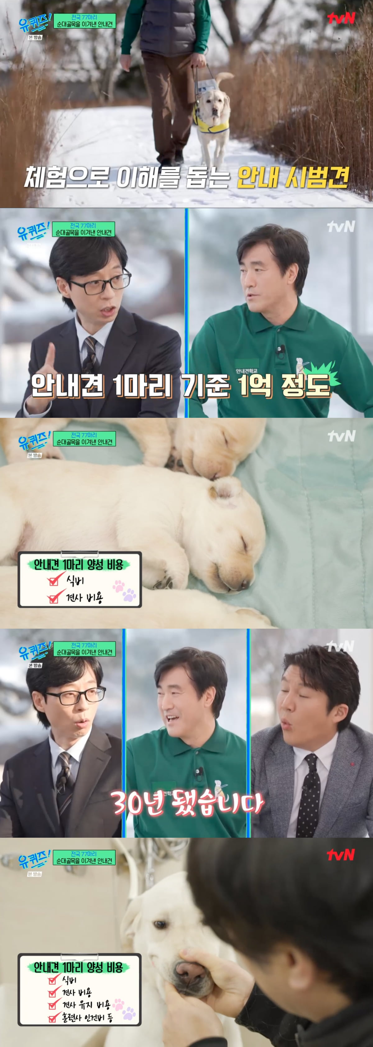 안내견 1마리 양성 비용, "1억 원 이상…'' 285마리 배출 ('유퀴즈')