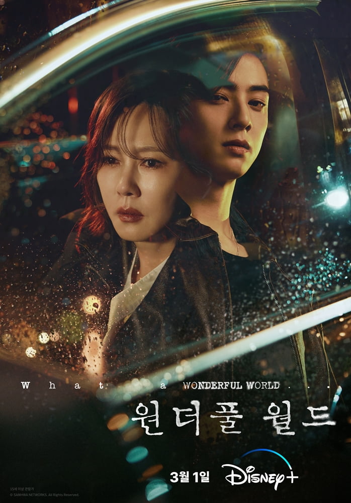 Drama 'Wonderful World', actors Kim Nam-joo and Cha Eun-woo's sad expressions