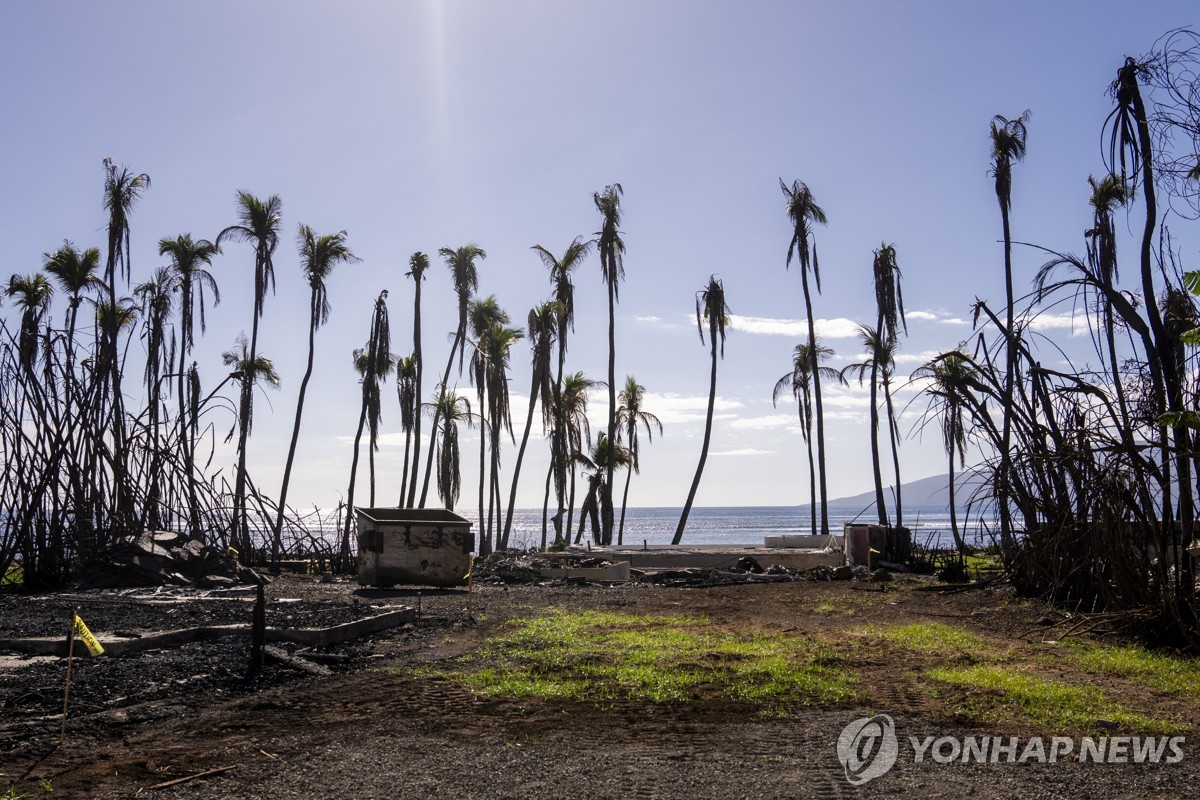 100명 목숨 앗아간 마우이 산불 6개월…이재민 5천명 고통 여전