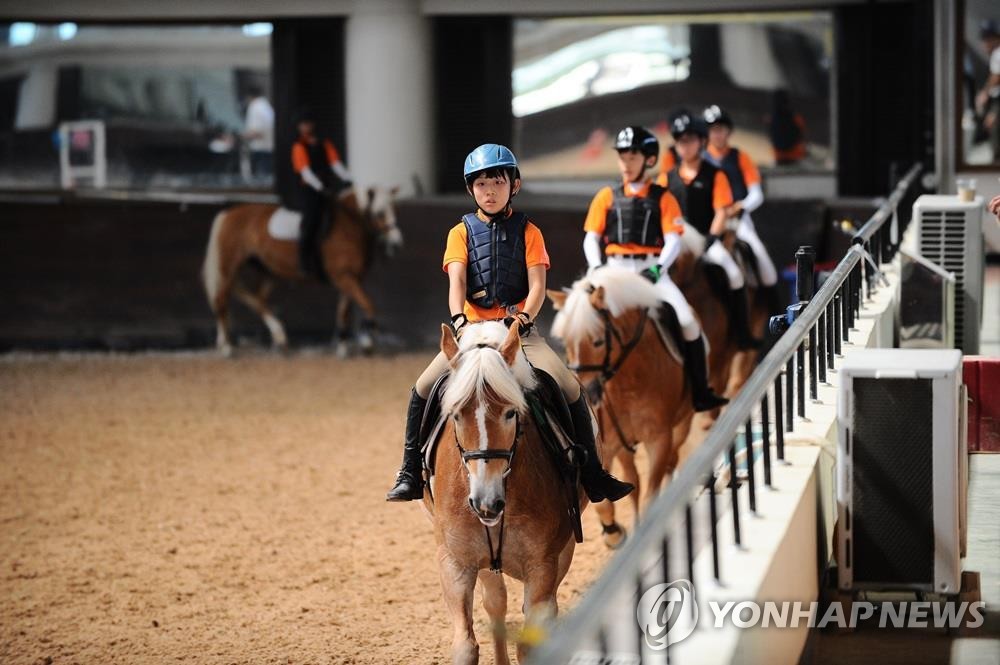 승마 인구 확대…전북자치도, 10억원 들여 승마 체험 지원 사업