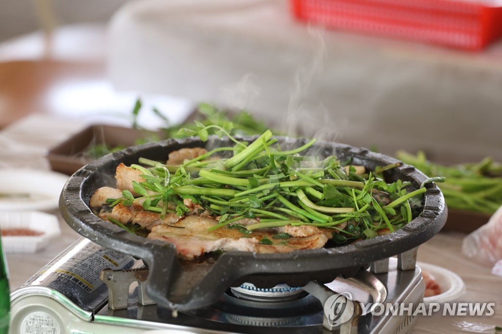 미나리와 만난 백숙…김해 평지마을 지역경제 살리는 신메뉴