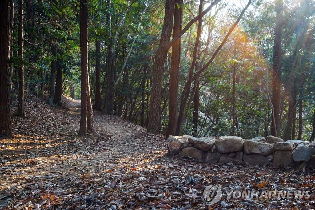 '땅끝 봄기운 가득'…해남 달마고도서 내달 23일 힐링축제