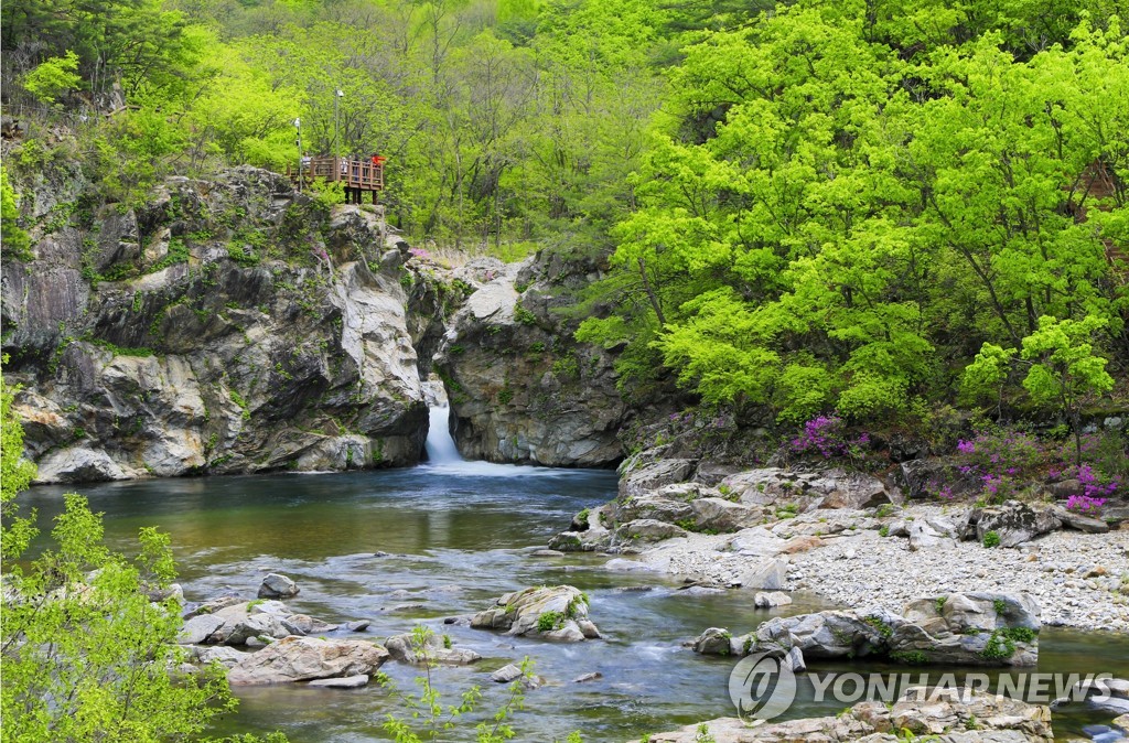 양구군, 문화관광해설사 신규 모집…내달 4일까지 신청