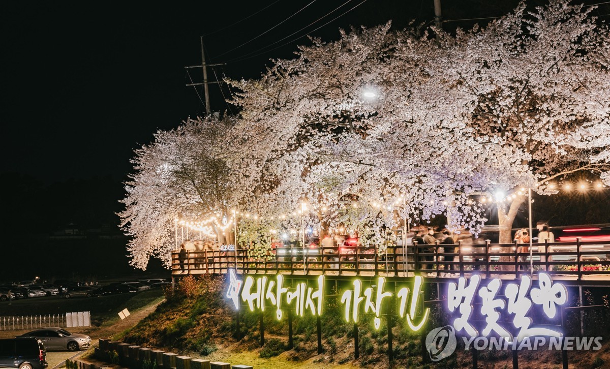 '기승전 대청호 벚꽃축제' 알고리즘 제작…이색홍보 눈길