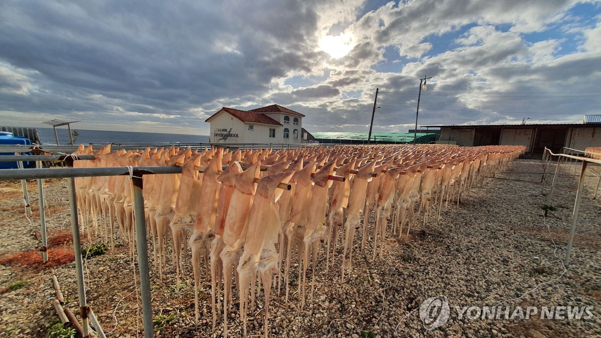 휴게소 군것질도 겁나는 오징어 가격…기후변화에 '금값'