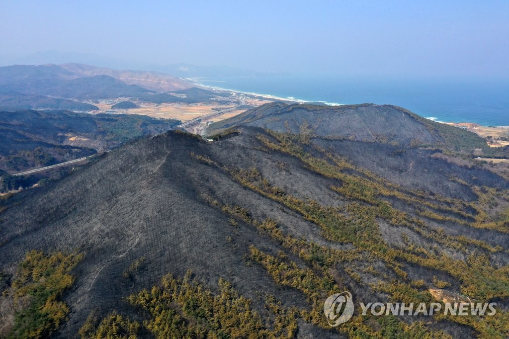 대형산불 겪은 동해시, 봄철 산불 초동대응력 높인다