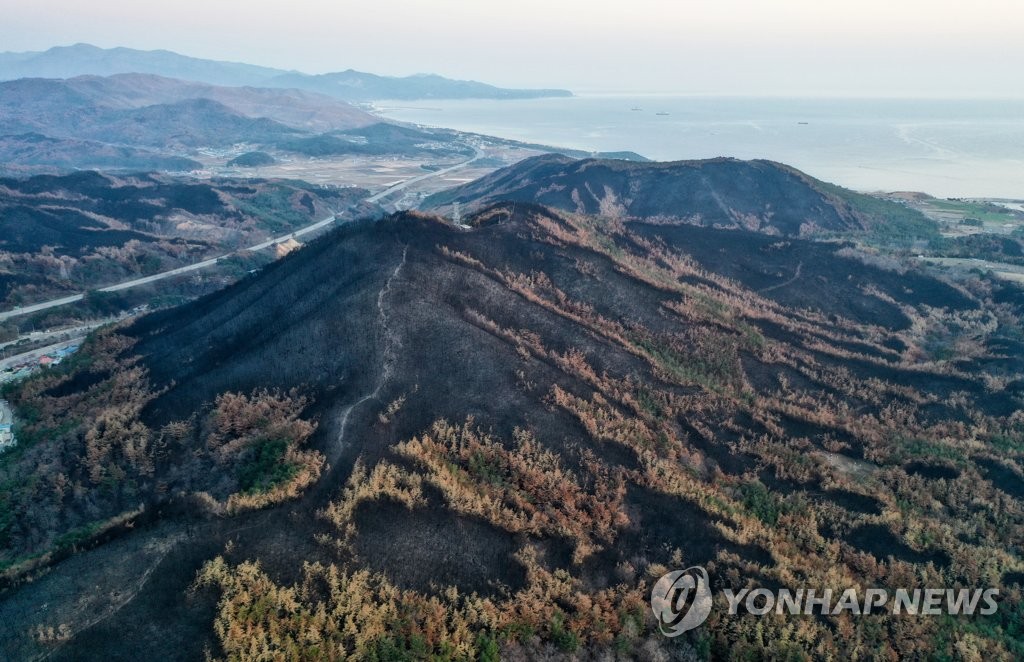 동해시, 최첨단 열화상 드론 띄워 산불 감시한다