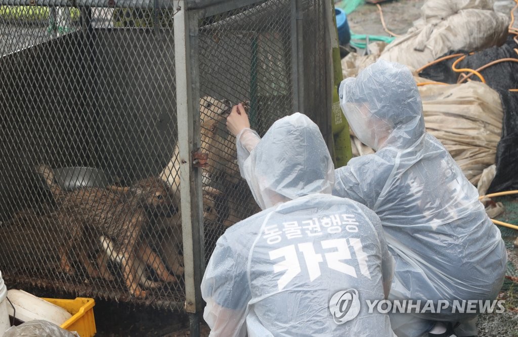 [삶] "동물에게 성매매까지 시키는게 사람이라니까요"