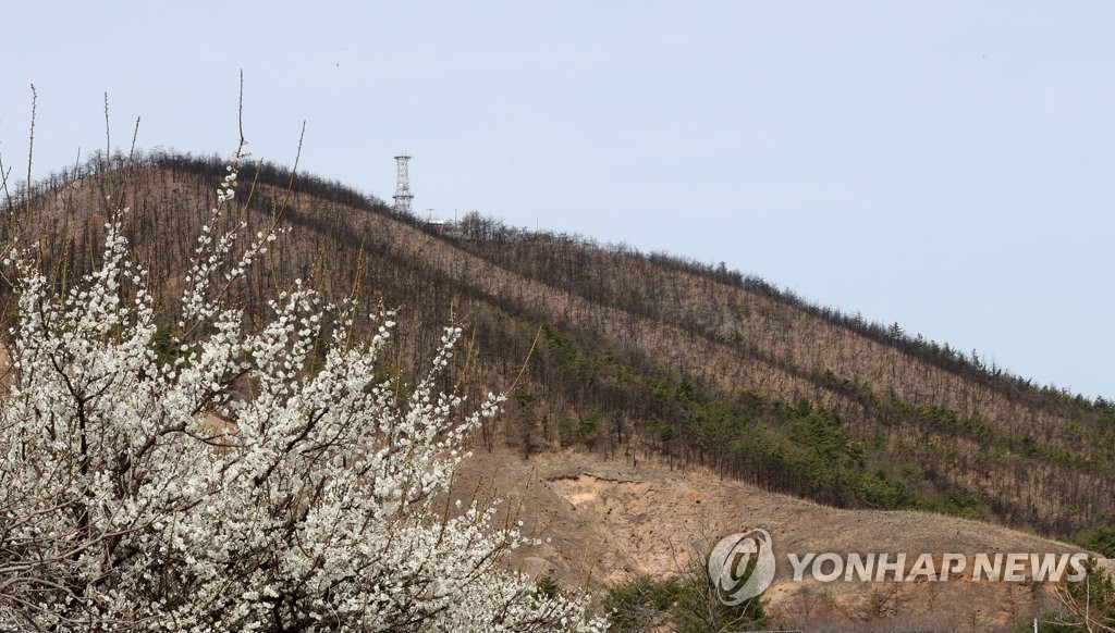 대형산불 겪은 동해시, 봄철 산불 초동대응력 높인다