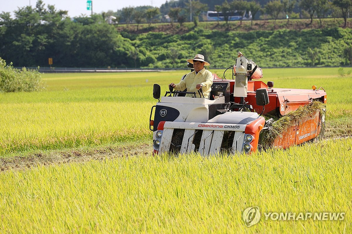 동해시, 친환경 쌀 재배단지 43ha 조성…안전 먹거리 제공