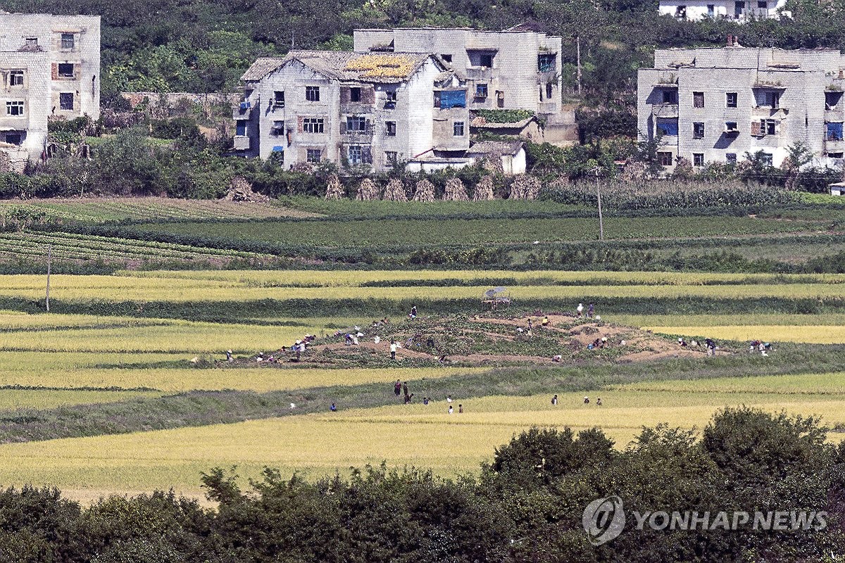 북한, 봄철 밀·보리 파종 시작…"면적 늘리고 지력 높여"