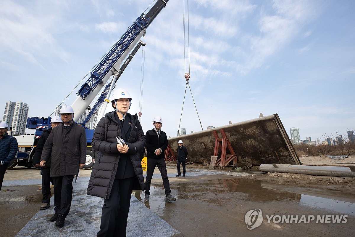 세종보 철새 급감…환경단체 "보 보수공사·수목제거사업 때문"