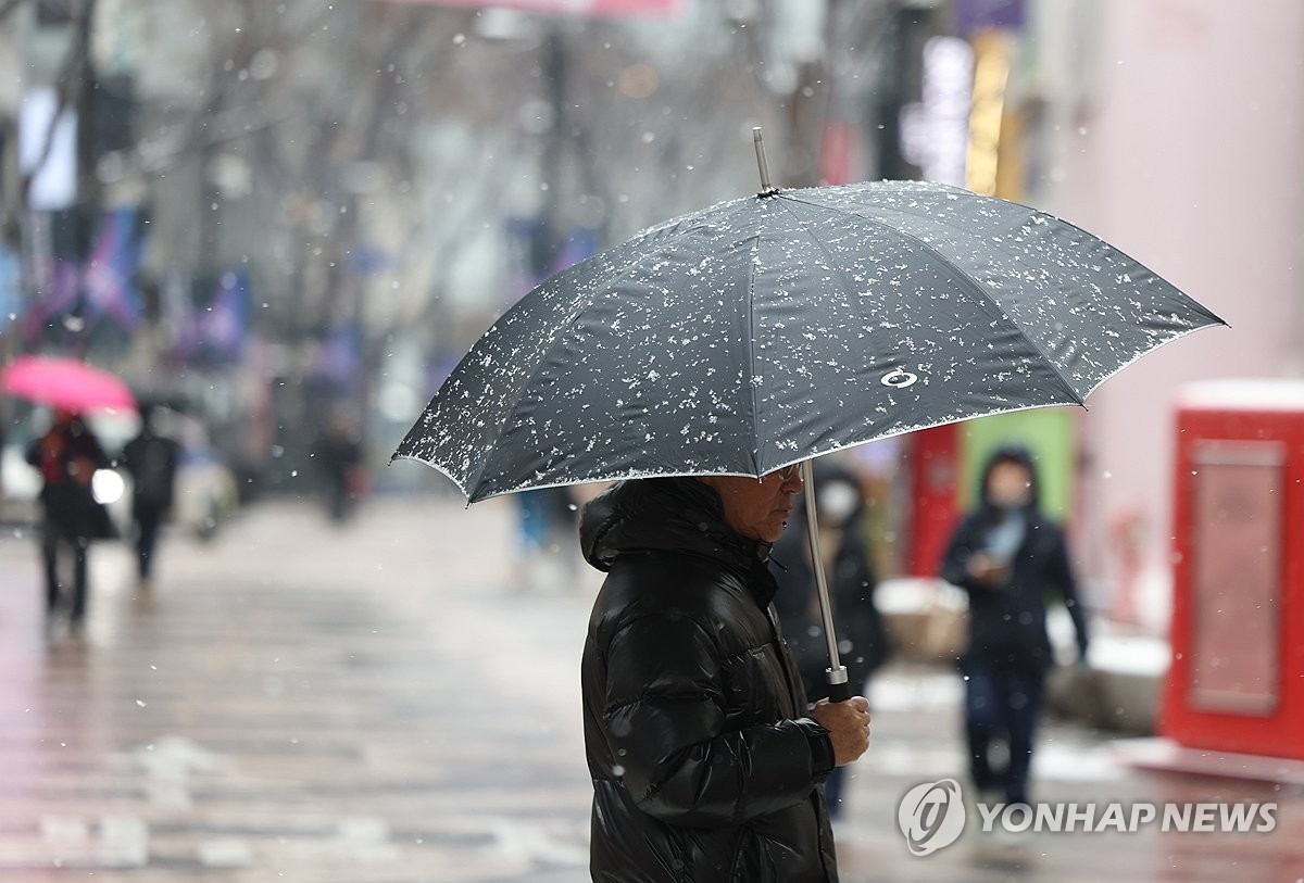 인천, 차량 고립 가로수 쓰러지는 등 눈 피해 잇따라