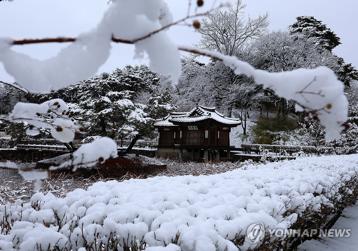 "동해안은 온통 눈꽃 세상"…은빛 설경 볼 마지막 기회