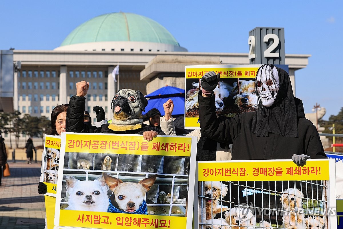 [삶] "한달 된 강아지, 펫숍에 끌려와 엄마 찾으며 우네요"