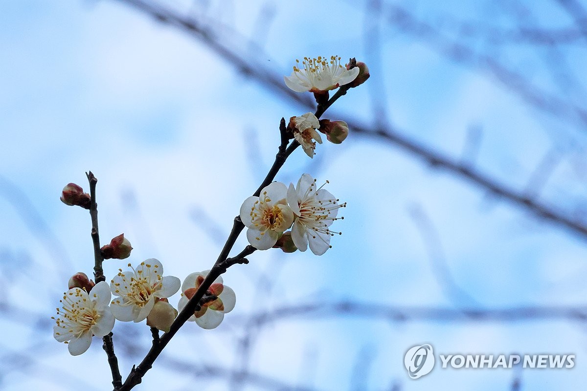 대구·경북 맑다가 오후부터 구름…낮 최고 10도