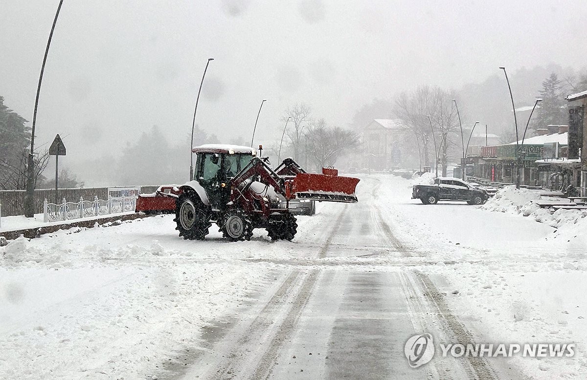 강원 미시령 22cm 눈 쌓여…동해안·산지 1∼3㎝ 더 올 듯