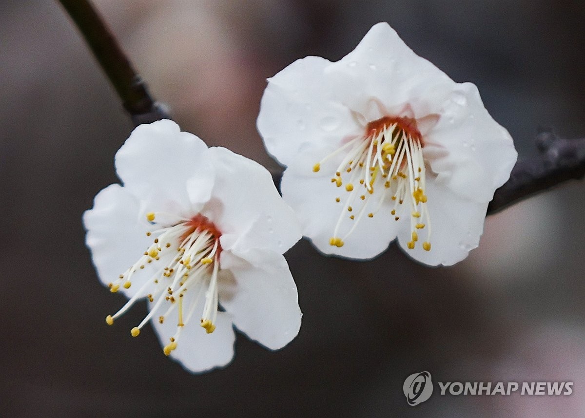 부산·울산·경남 대체로 맑음…낮 최고 6∼10도