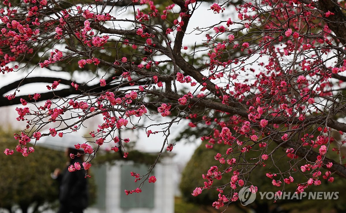 충청·남부 중심 비나 눈…낮 최고 2∼9도