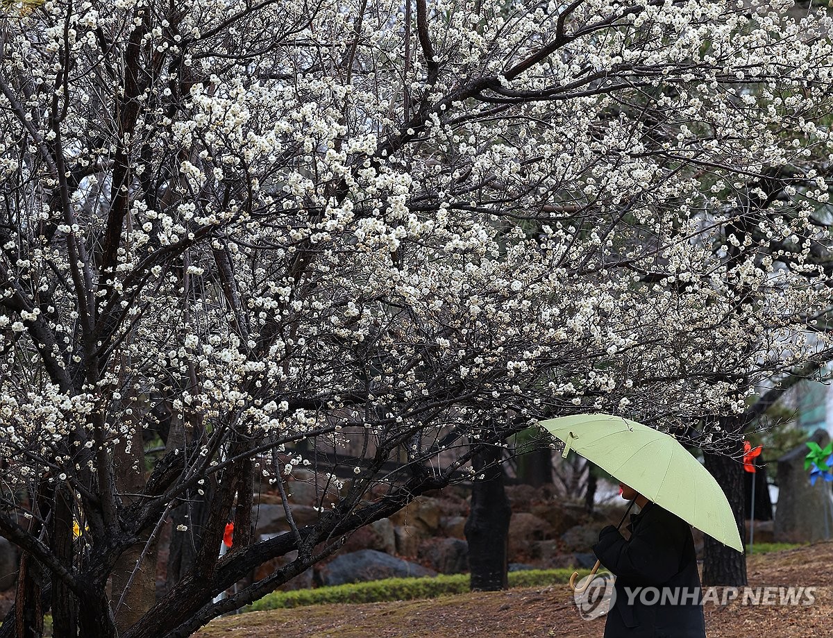 [날씨] 전국 흐리고 곳곳 비·눈…아침 -5∼4도 추워져