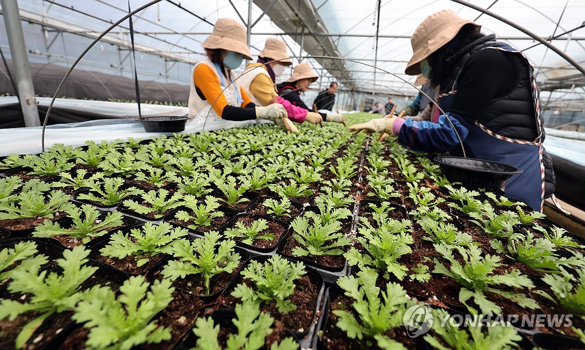 전북 맑다가 오후부터 구름…낮 최고 7도