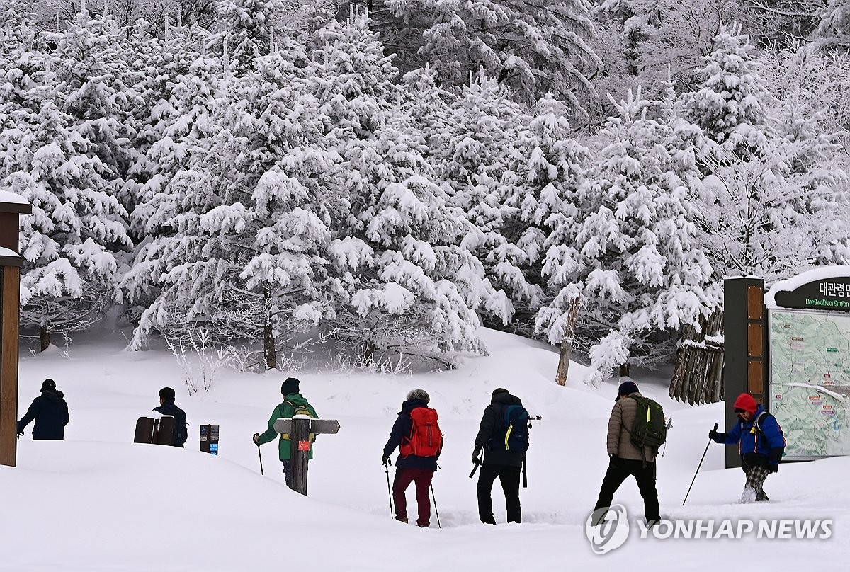 "동해안은 온통 눈꽃 세상"…은빛 설경 볼 마지막 기회