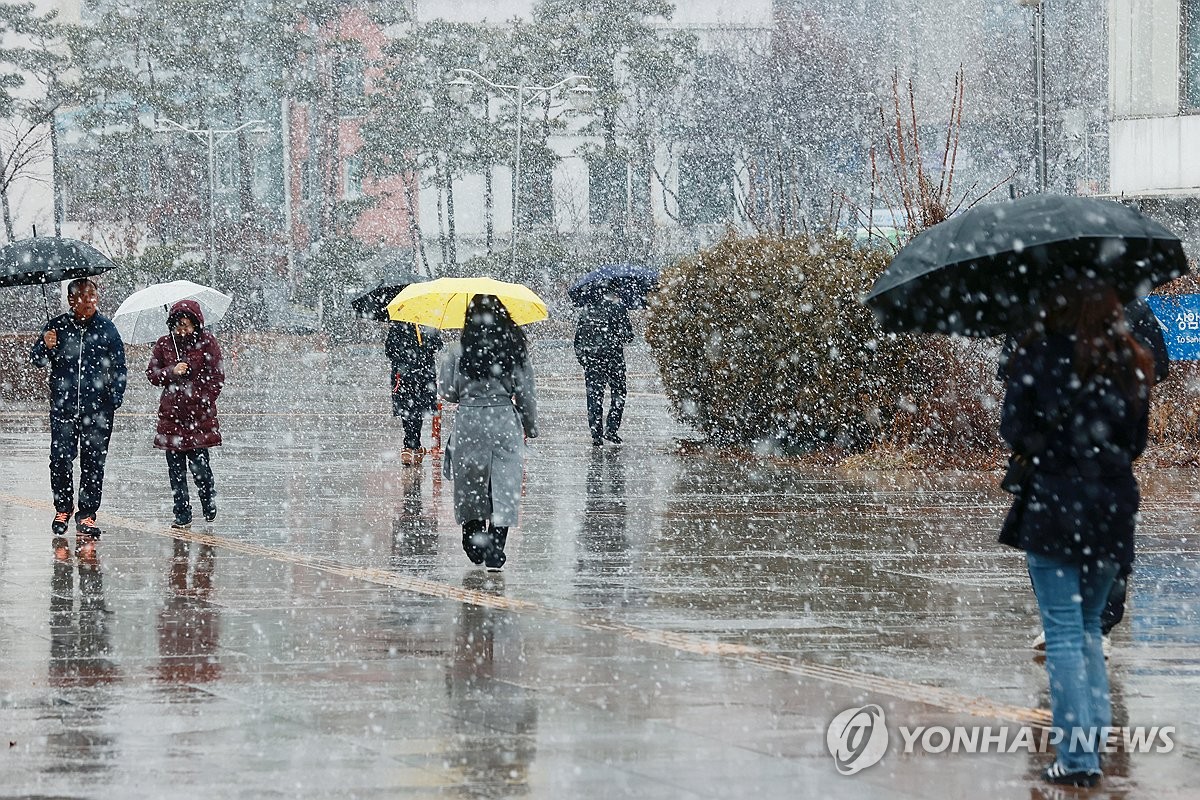 [날씨] 강원·경북 동해안 많은 눈…기온은 5∼10도 '뚝'