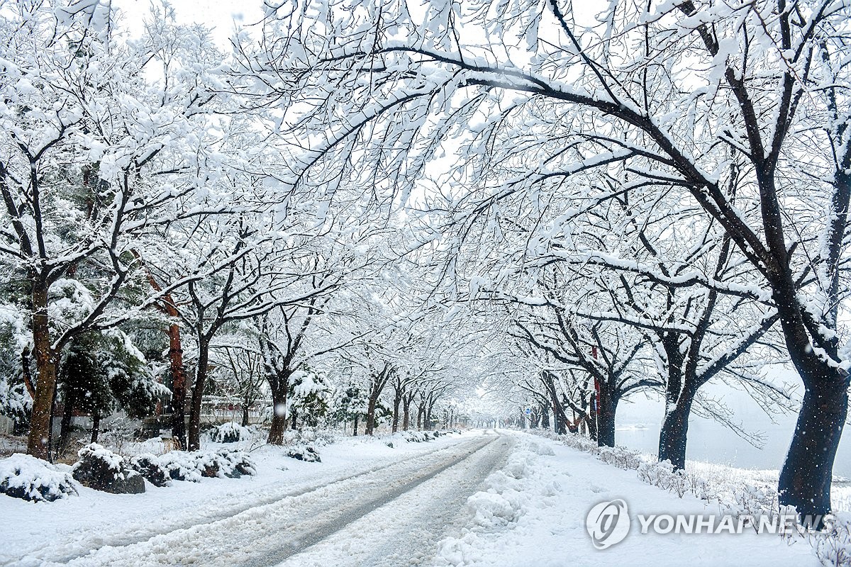 [내일날씨] 전국 흐리고 기온 5∼10도 '뚝'…강원영동 대설