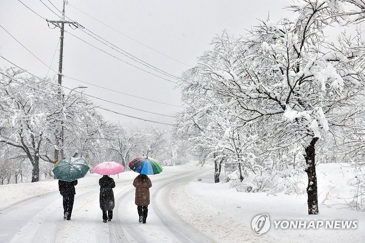 폭설에 설악산 고지대 탐방로 통제…설경 즐기려는 관광객 발길