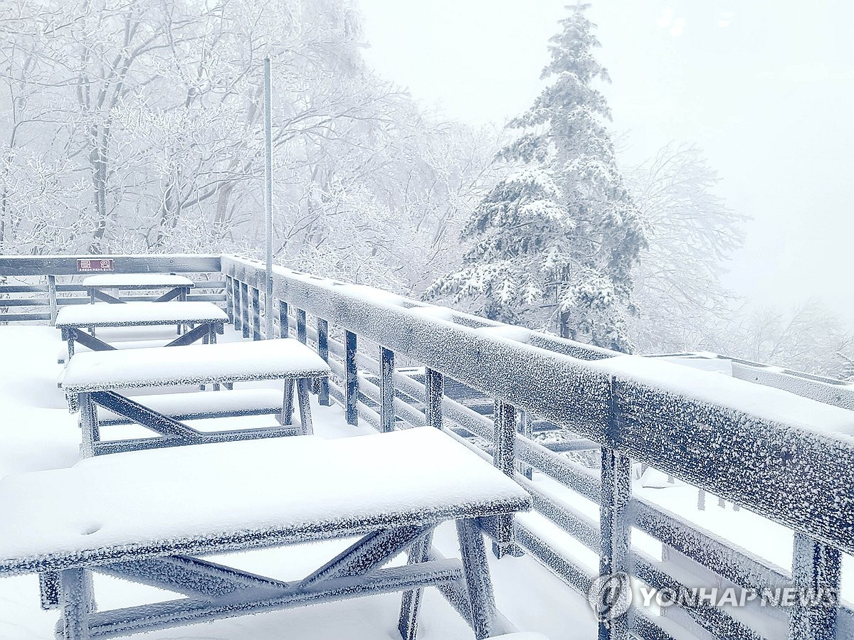 고양 11.9cm 적설량…경기북부 밤까지 1∼5cm 더 내려