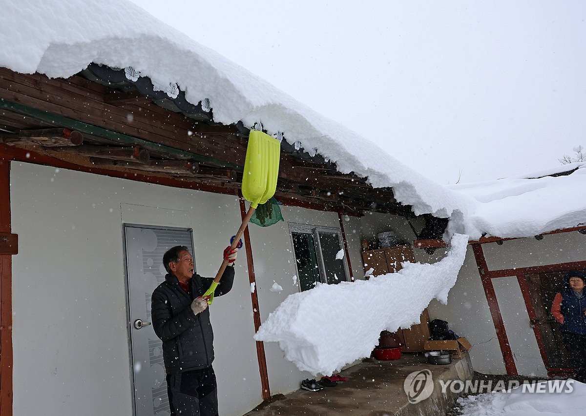 [현장] "폭설에 지붕 무너질까 봐 계속 치워야 해요…70㎝는 왔을 거요"