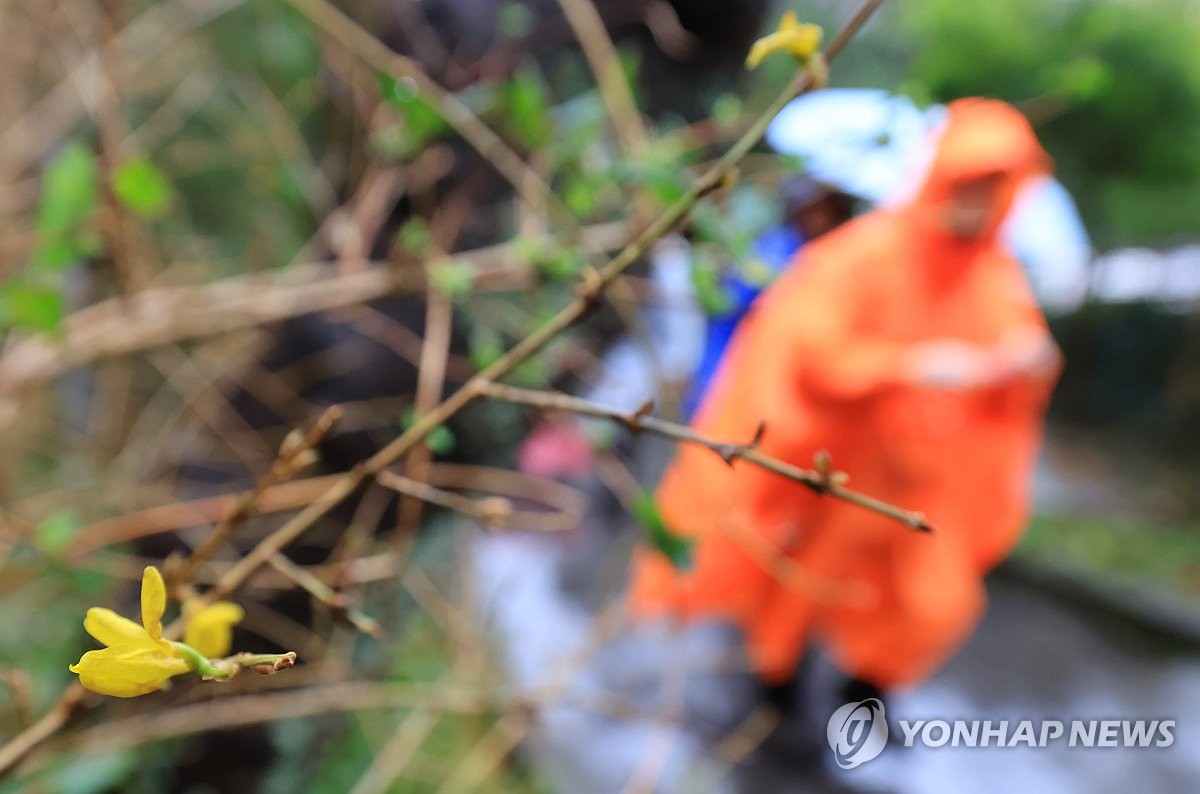 제주 흐리고 비…산지에는 3∼8㎝ 눈 쌓여