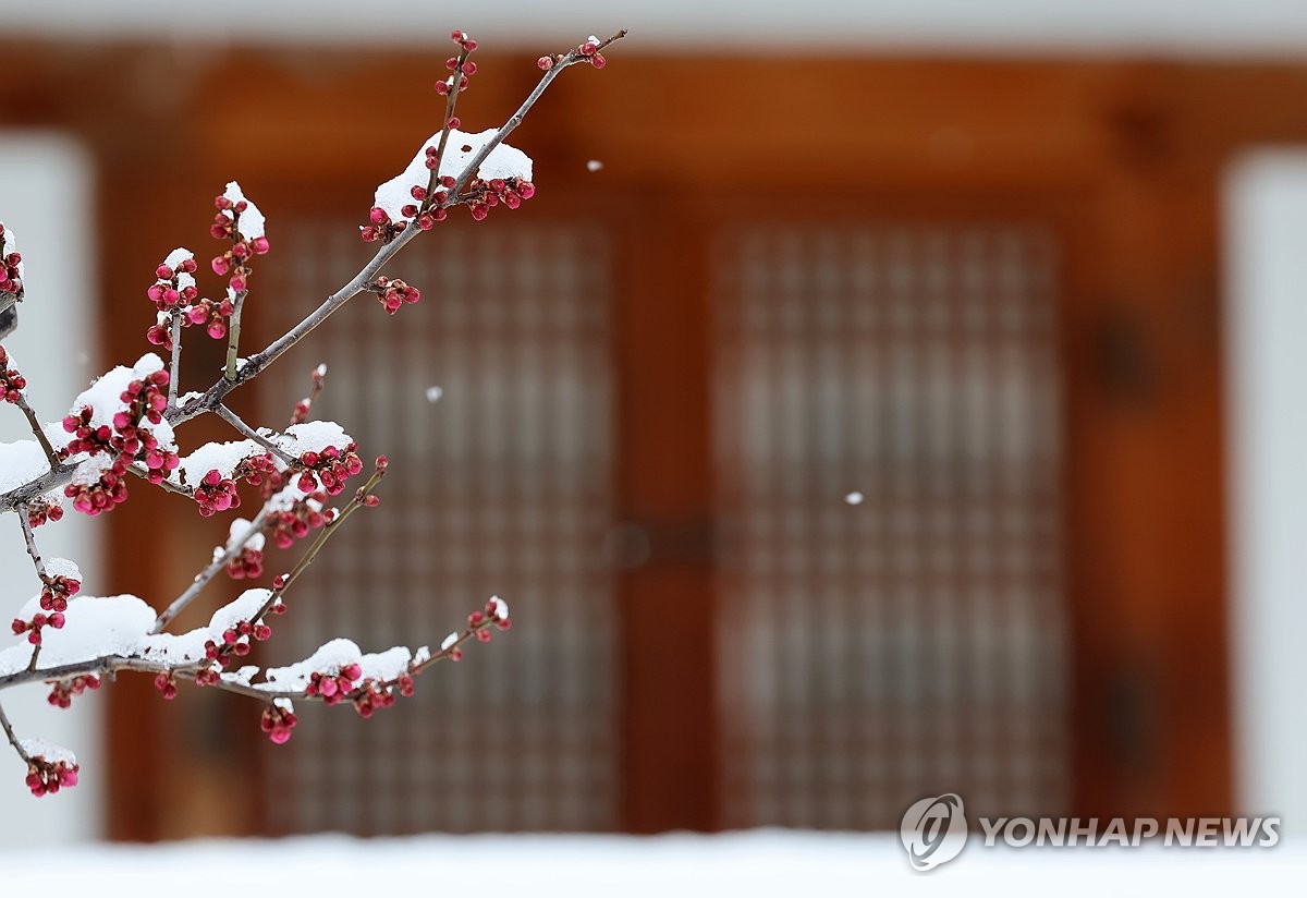 강원 대체로 흐려…오전까지 비 또는 눈