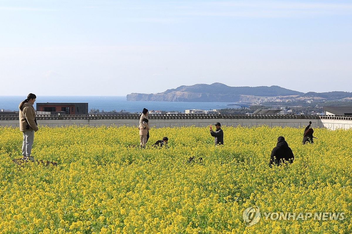 제주 대체로 흐림…낮 최고 11∼12도