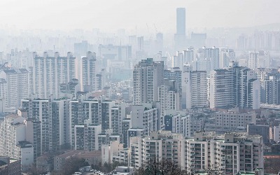 "이 가격 맞나요?"…반토막 아파트 등장에 '영끌족' 비명