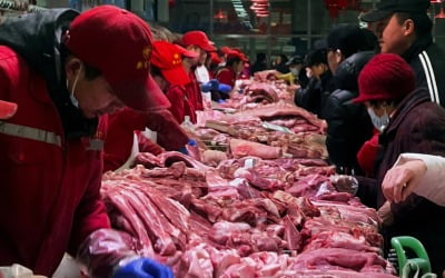 "중국서 돼지고기 안 팔리네"…CJ·대상 발목 잡은 라이신