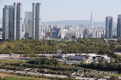 서울상권 지형변화…"성수·한남 뜨고 가로수길·홍대 고전"