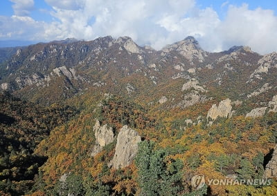 봄 산불 예방 위해 국립공원 탐방로 131개 통제…위반 시 과태료