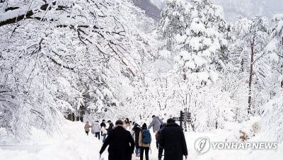 설악산 설경 장관…방문객 몰려 차량 곳곳 지·정체