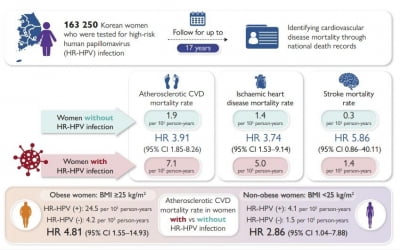 "고위험 HPV 감염 여성, 심혈관 질환 사망위험도 4배 높다"