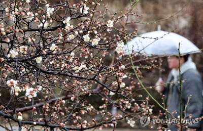 전국에 비…북쪽서 찬 공기 남하하며 눈으로 바뀌기도