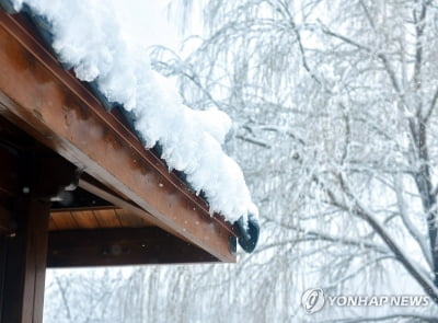 강원영동에 많은 눈…동해안·산지에 내일까지 최대 50㎝ 이상