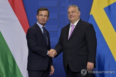 헝가리 총리, 스웨덴 '나토 가입'에 "26일 결정" 재확인